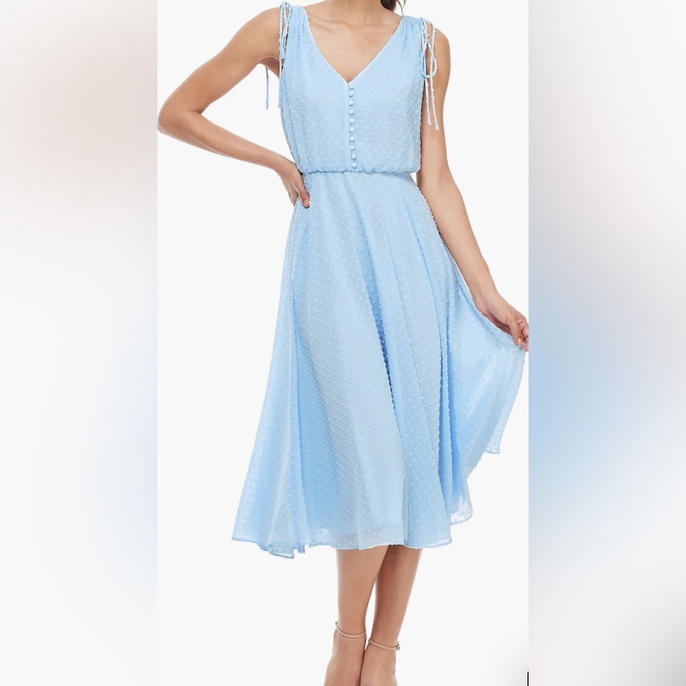 Rare Gorgeous NWT pale blue chiffon midi clip dot dress